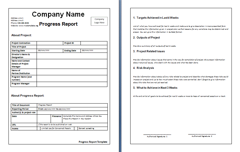 Monthly Employee Report Template