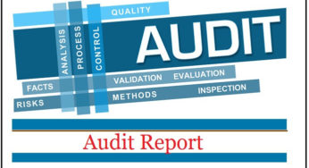 Audit Report Template