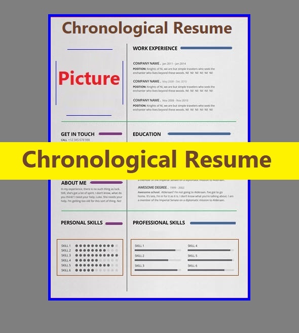 Chronological Resume Templates 5 Free Printable Ms Word