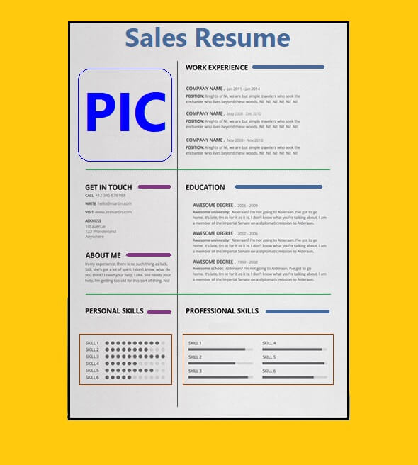 Sales Resume Template Free Word Templates