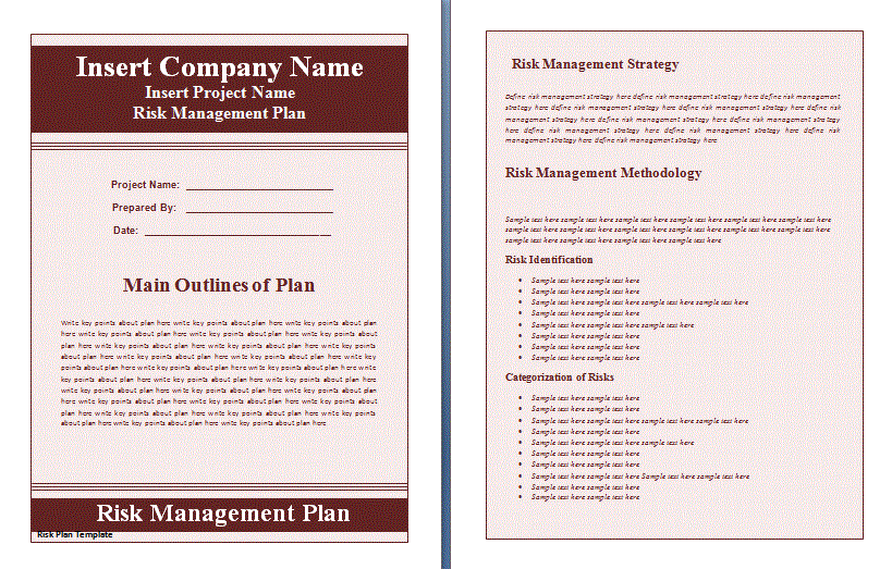 Risk Analysis and Plan Template