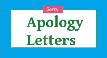 Apology Letter Template