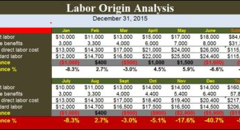 Labor Origin Analysis Template