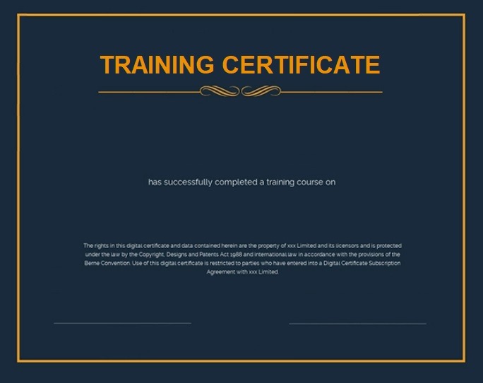 Training Certificate Example