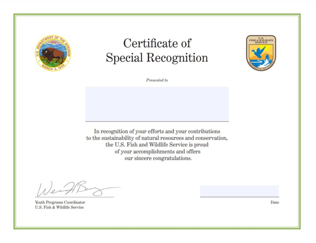 Certificate of Special Recognition Template