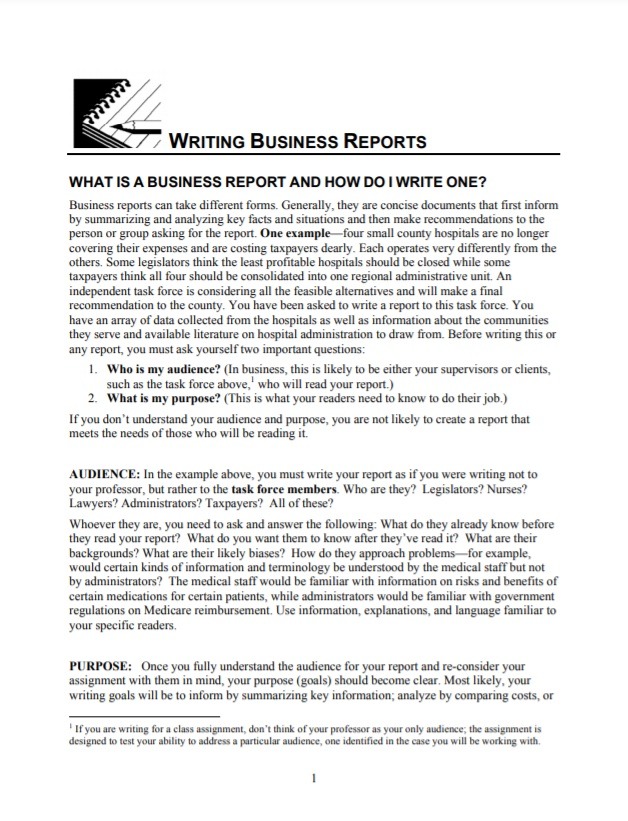 Business Report Example