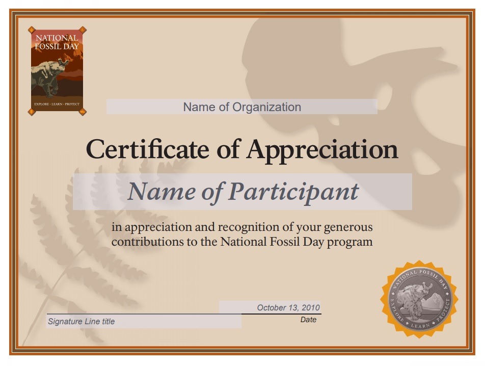 Certificate of Appreciation Example