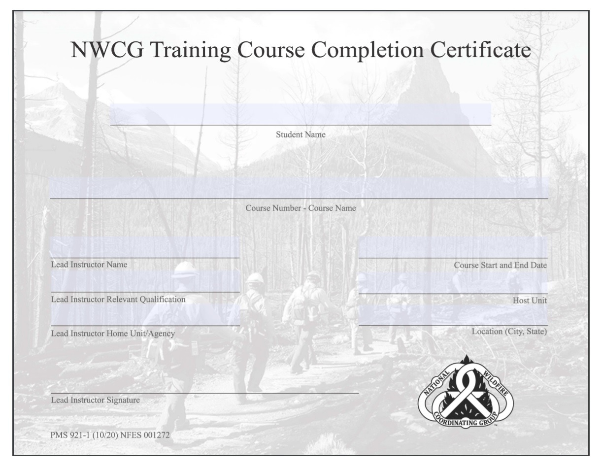 Training Certificate Template