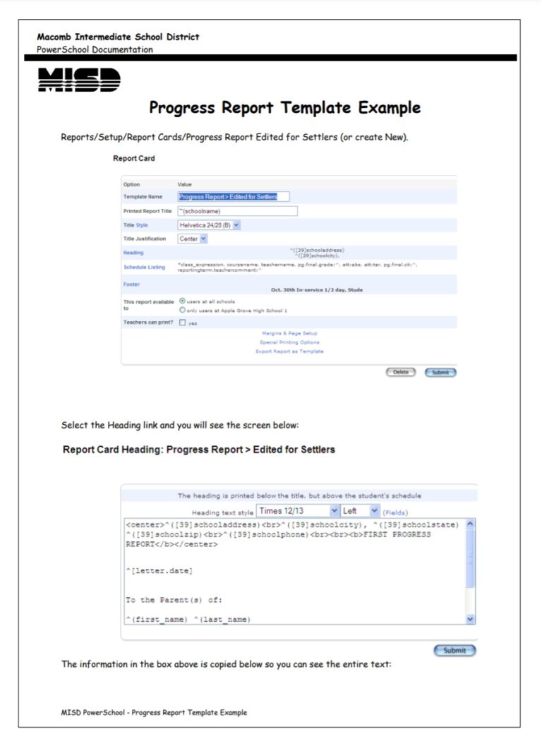 Daily Progress Report Template