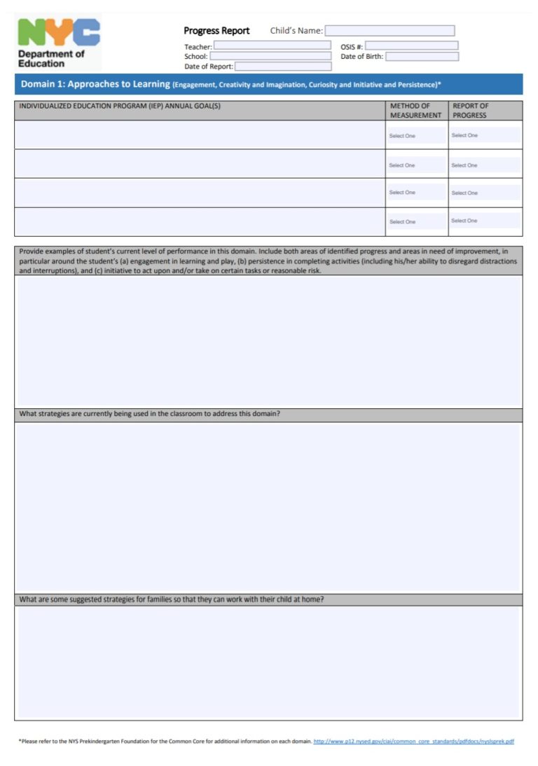 Daily Progress Report Template