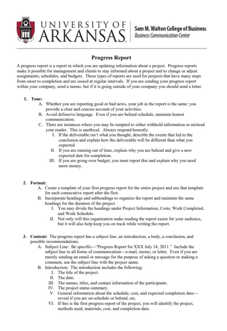 Daily Progress Report Template