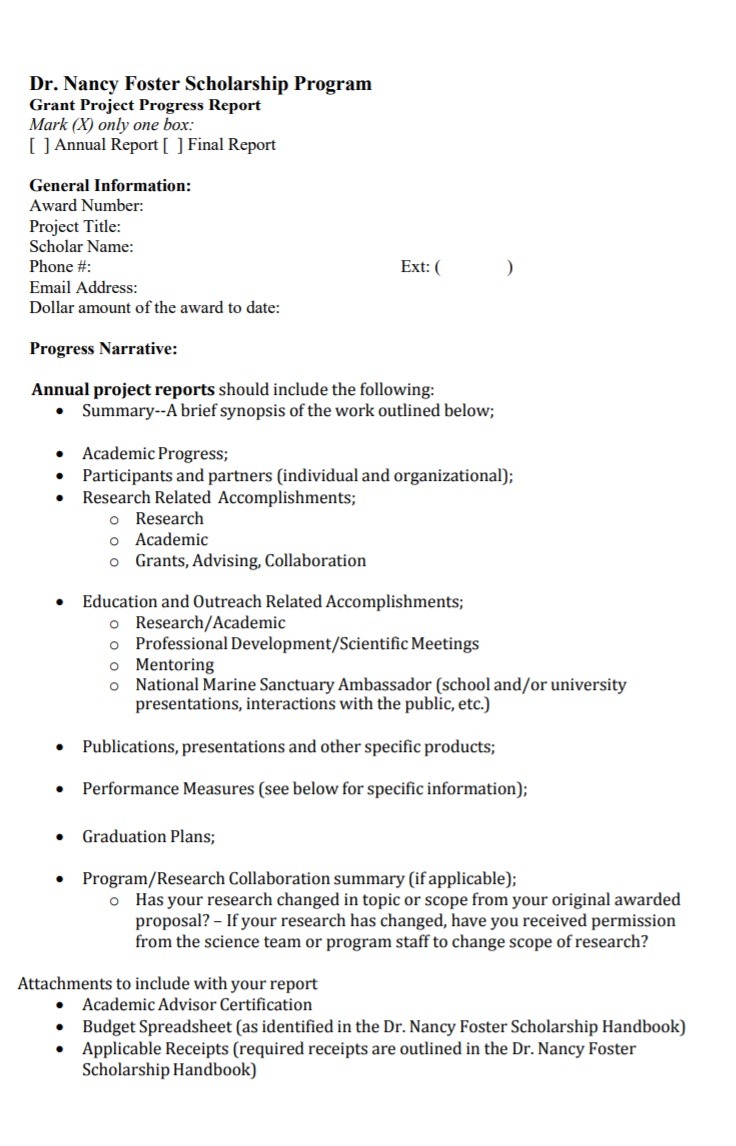 Daily Progress Report Template