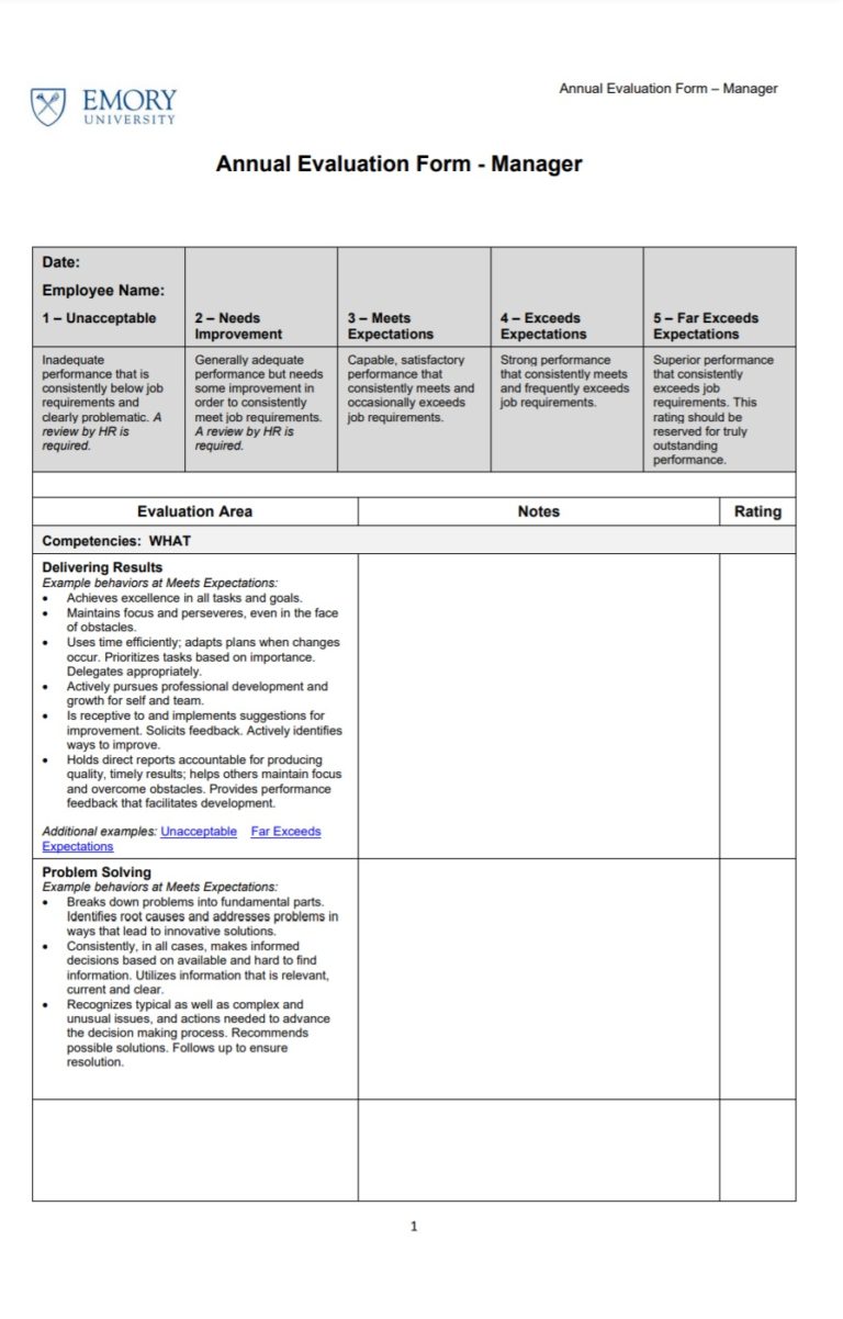 Performance Evaluation Template