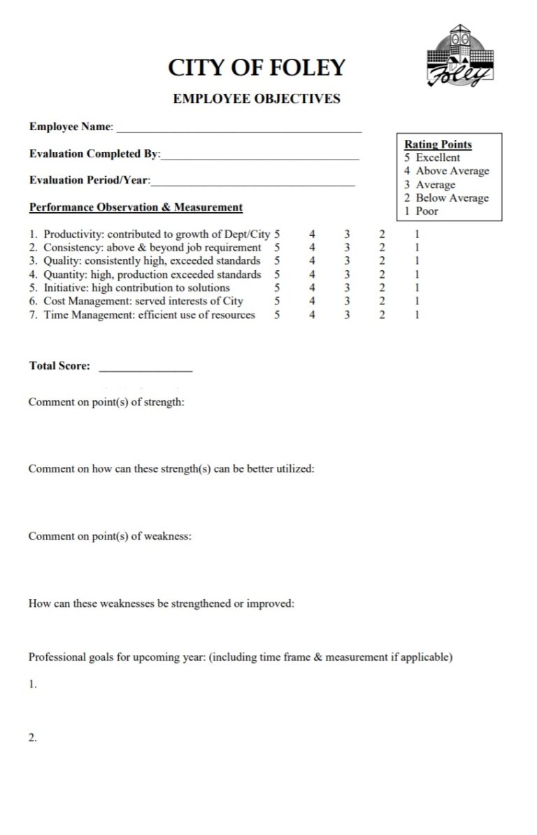 Performance Evaluation Template