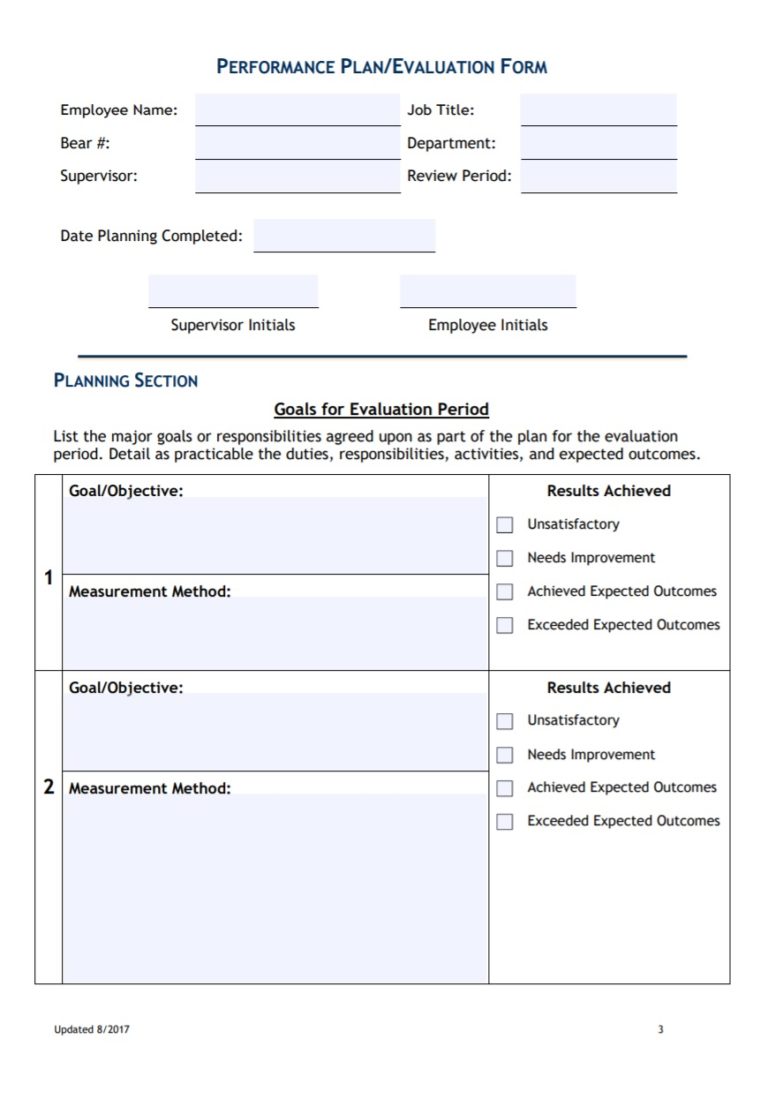 Performance Evaluation Template