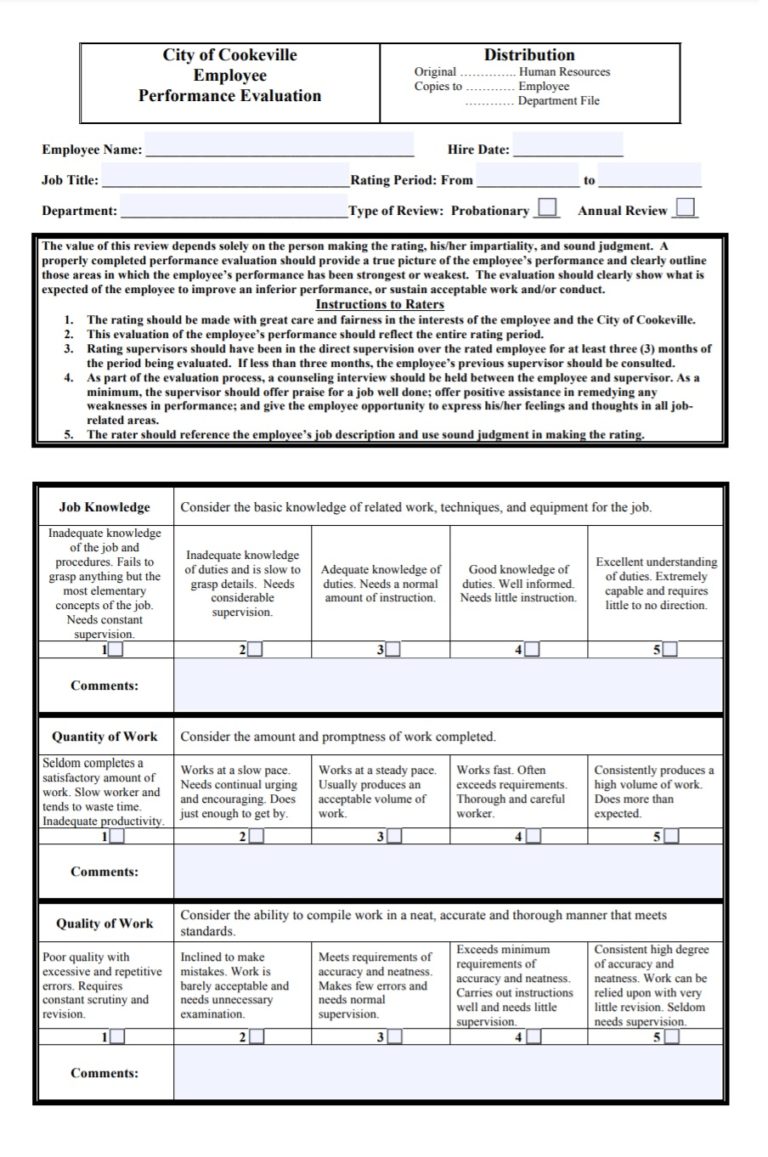 Performance Evaluation Template