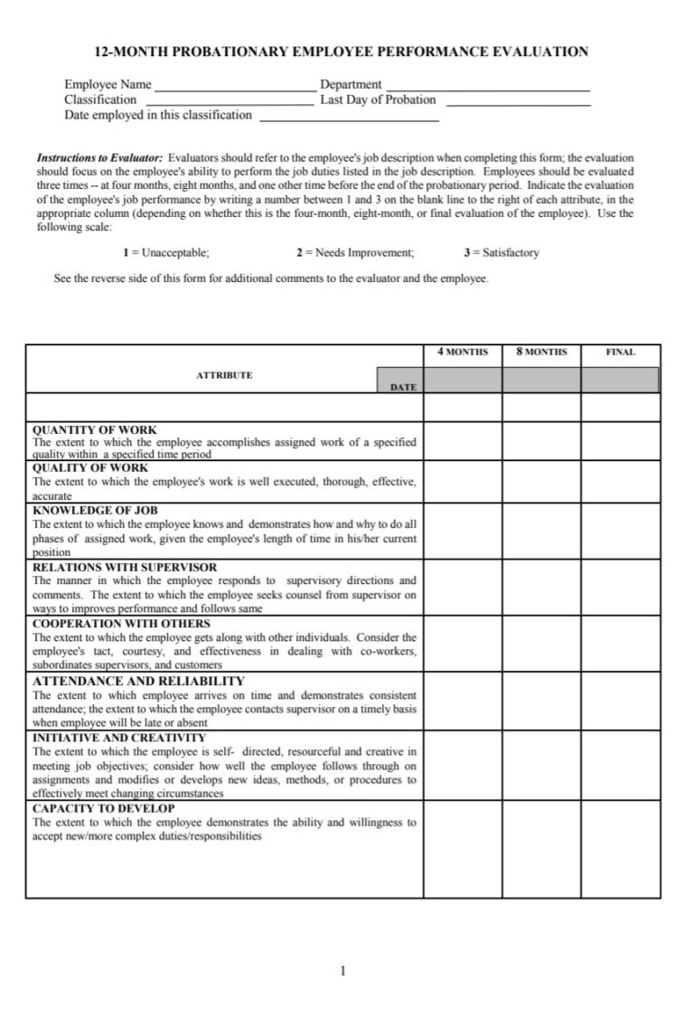 Performance Evaluation Template