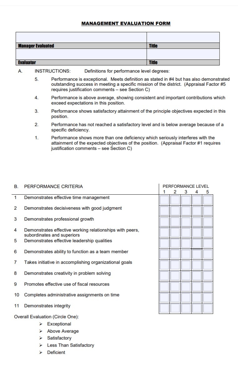 Performance Evaluation Template